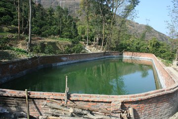 ������ˮ����ϴ