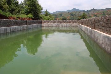 ������ˮ����ϴ